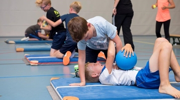 Vakleerkracht gym 0,8-1,0